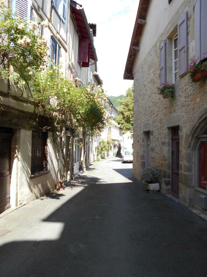 7 Rue Droite Vila Saint-Antonin Exterior foto
